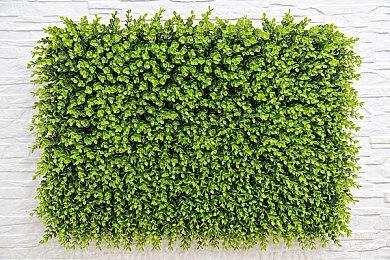 无厘头电车售票员模拟游戏《没票？下车！》 现已在Steam发售